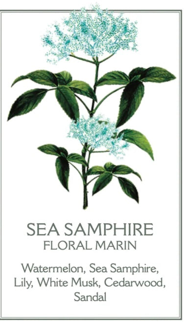 Sea marine liquid soap