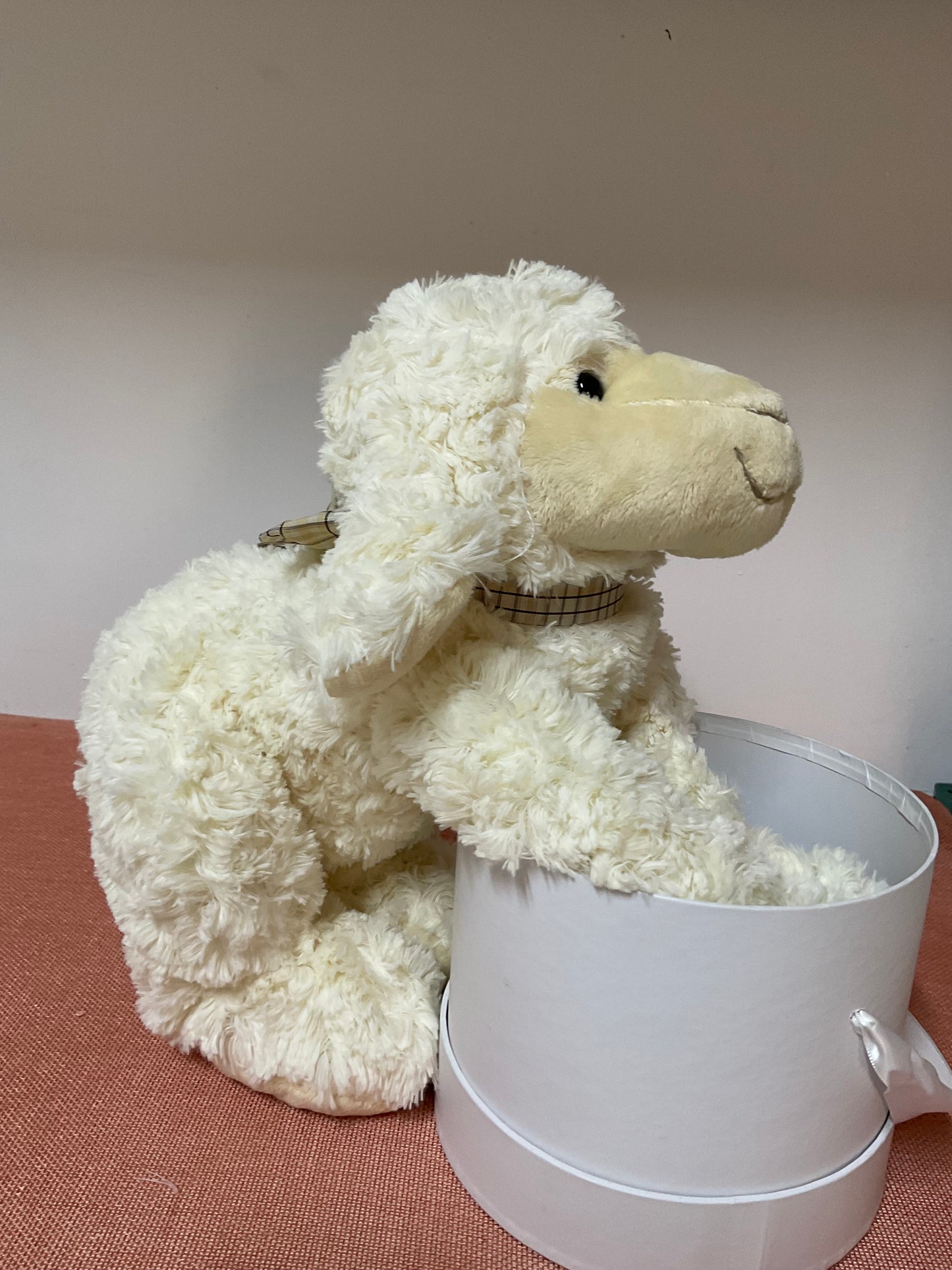 Jono the sheep