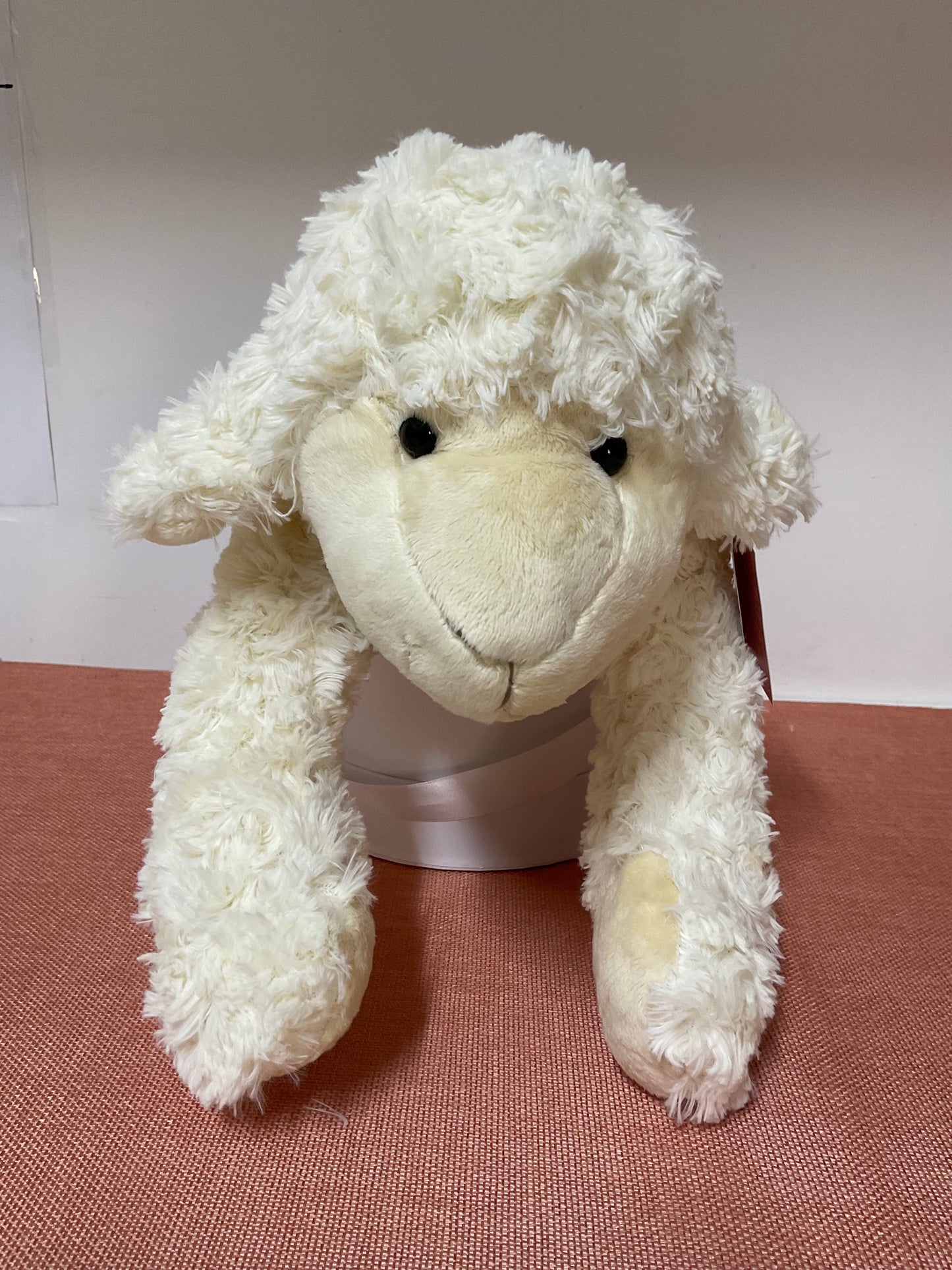 Jono the sheep