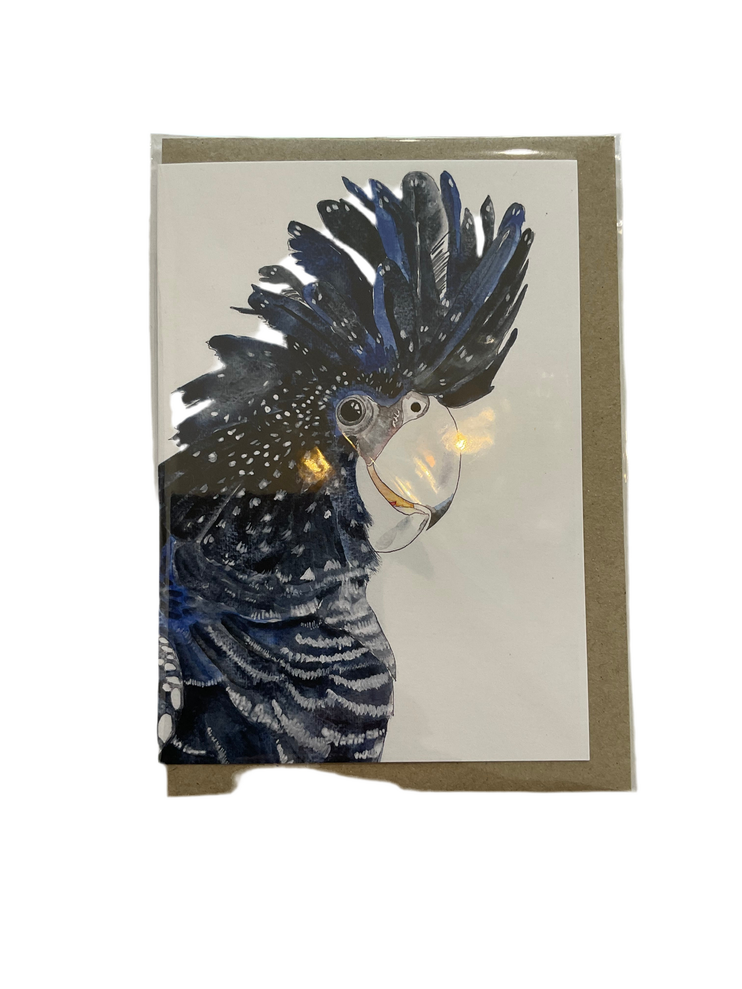 Black cockatoo