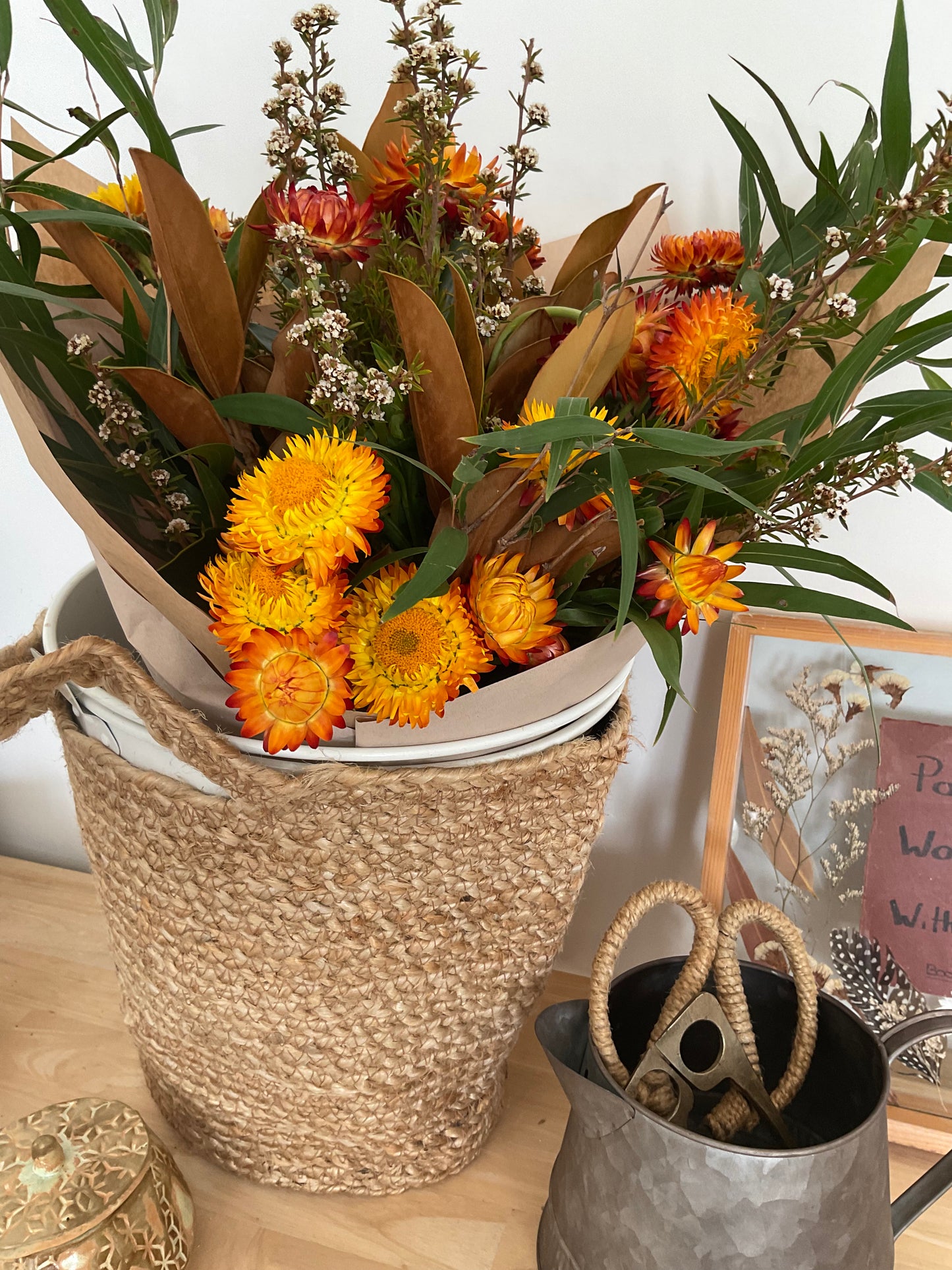 Paper daisy, tea tree, gum.