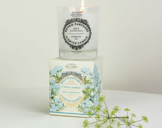 Sea marine candle